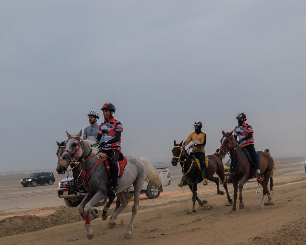 His Highness Underlines Nasser bin Hamad’s Appreciation for the Company